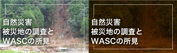 自然災害被災地の調査とWASCの所見