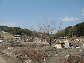 宮古市金浜地区